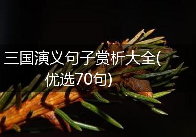 三国演义句子赏析大全(优选70句)