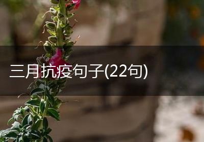 三月抗疫句子(22句)