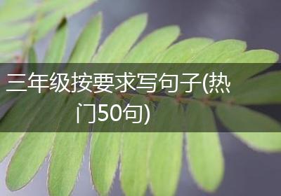 三年级按要求写句子(热门50句)