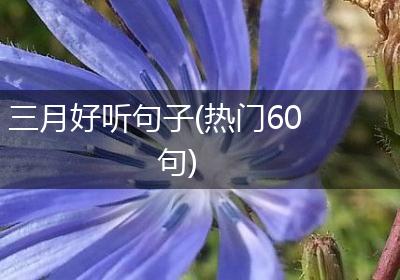 三月好听句子(热门60句)