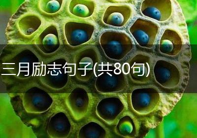 三月励志句子(共80句)