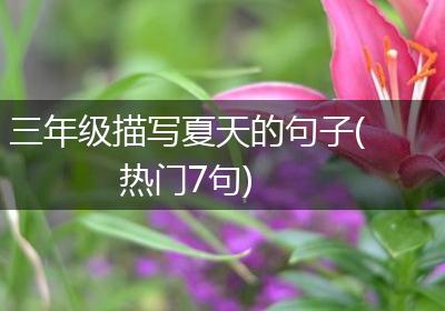 三年级描写夏天的句子(热门7句)