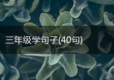 三年级学句子(40句)