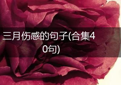 三月伤感的句子(合集40句)