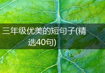 三年级优美的短句子(精选40句)