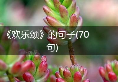 《欢乐颂》的句子(70句)