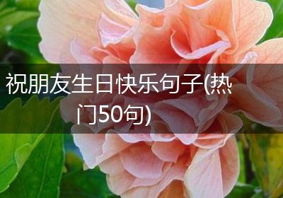 祝朋友生日快乐句子(热门50句)