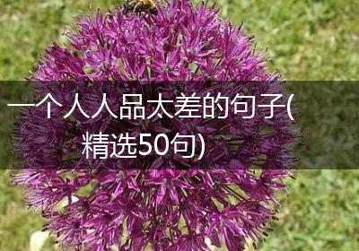 一个人人品太差的句子(精选50句)