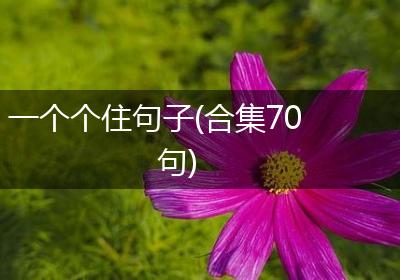 一个个住句子(合集70句)
