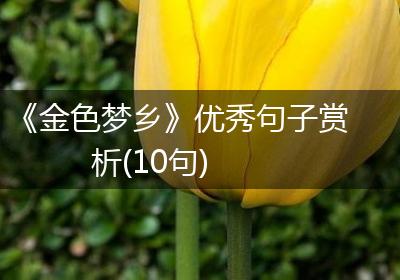 《金色梦乡》优秀句子赏析(10句)