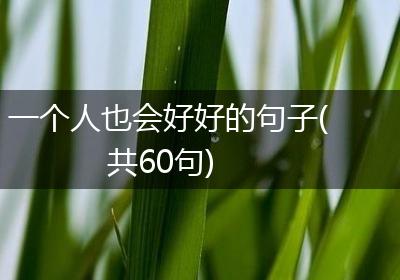 一个人也会好好的句子(共60句)
