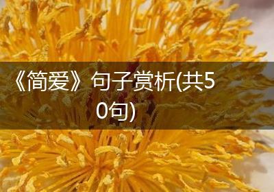 《简爱》句子赏析(共50句)