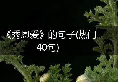 《秀恩爱》的句子(热门40句)