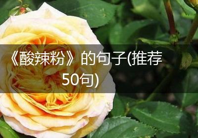 《酸辣粉》的句子(推荐50句)