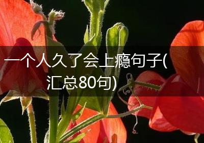 一个人久了会上瘾句子(汇总80句)
