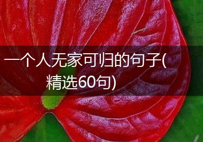一个人无家可归的句子(精选60句)