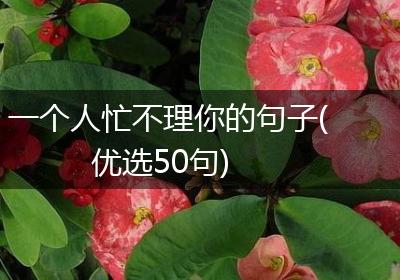 一个人忙不理你的句子(优选50句)