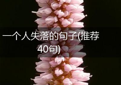一个人失落的句子(推荐40句)