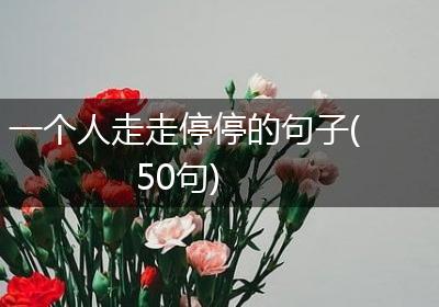 一个人走走停停的句子(50句)