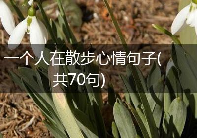 一个人在散步心情句子(共70句)