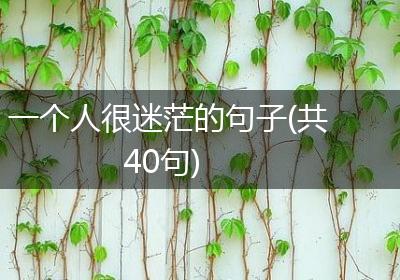 一个人很迷茫的句子(共40句)