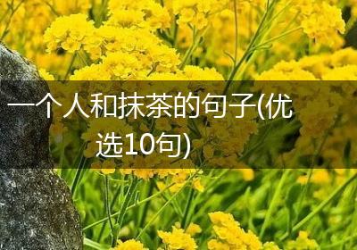 一个人和抹茶的句子(优选10句)