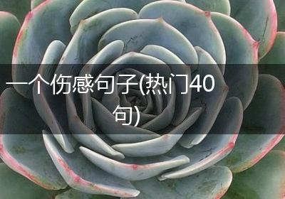 一个伤感句子(热门40句)