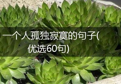 一个人孤独寂寞的句子(优选60句)