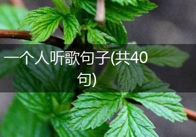 一个人听歌句子(共40句)