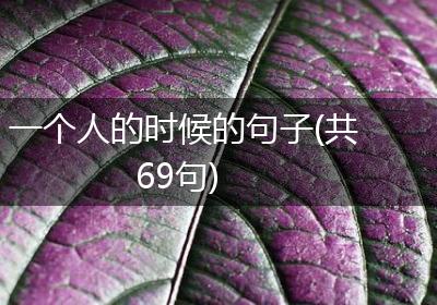 一个人的时候的句子(共69句)