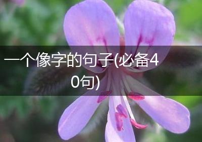 一个像字的句子(必备40句)