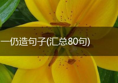 一仍造句子(汇总80句)