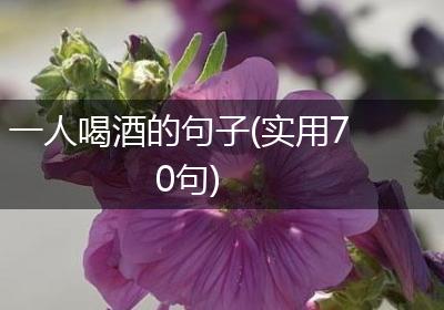 一人喝酒的句子(实用70句)