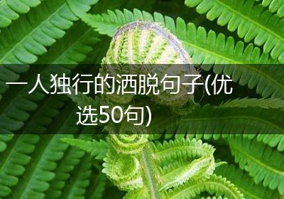 一人独行的洒脱句子(优选50句)