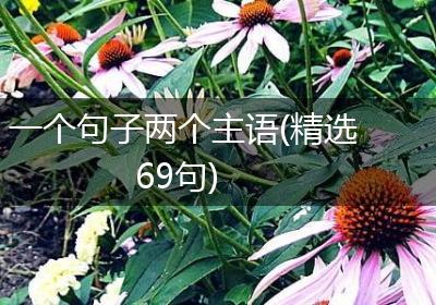 一个句子两个主语(精选69句)