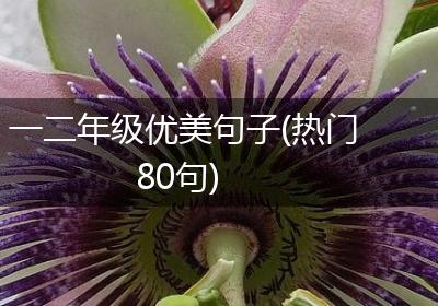 一二年级优美句子(热门80句)