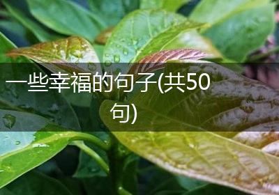 一些幸福的句子(共50句)