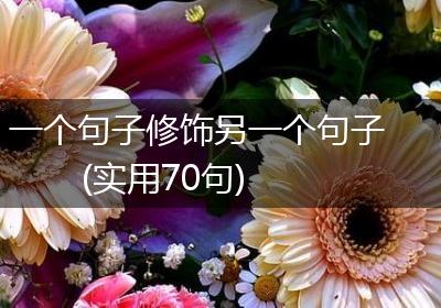 一个句子修饰另一个句子(实用70句)