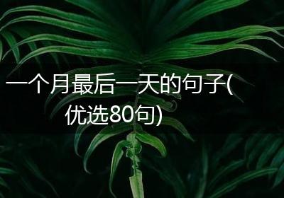一个月最后一天的句子(优选80句)