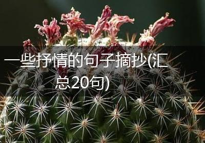 一些抒情的句子摘抄(汇总20句)