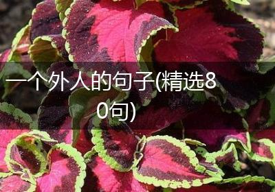 一个外人的句子(精选80句)