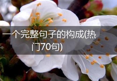 一个完整句子的构成(热门70句)