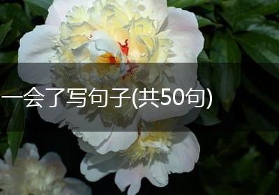 一会了写句子(共50句)