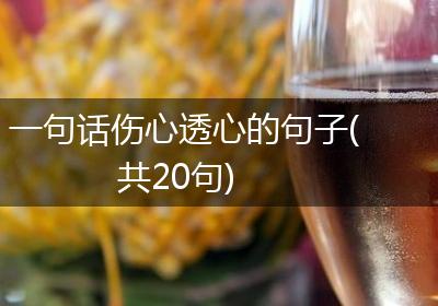 一句话伤心透心的句子(共20句)