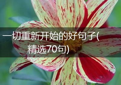 一切重新开始的好句子(精选70句)