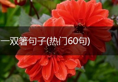 一双箸句子(热门60句)