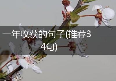 一年收获的句子(推荐34句)