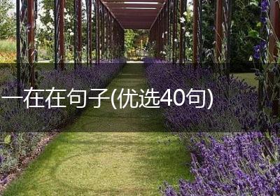 一在在句子(优选40句)