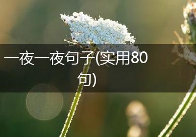 一夜一夜句子(实用80句)