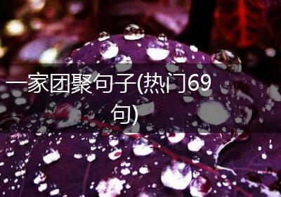 一家团聚句子(热门69句)